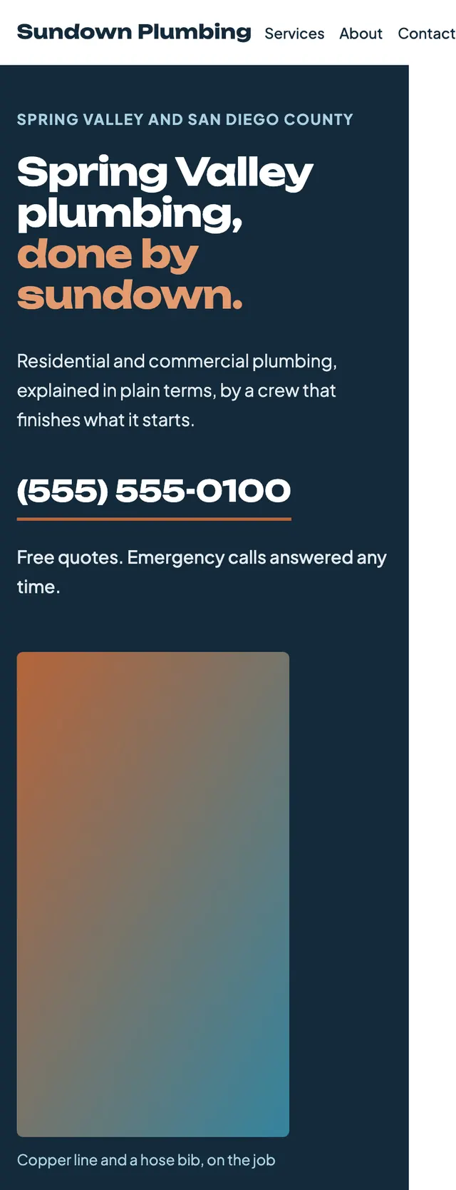 Full homepage of the plumbing concept on a phone