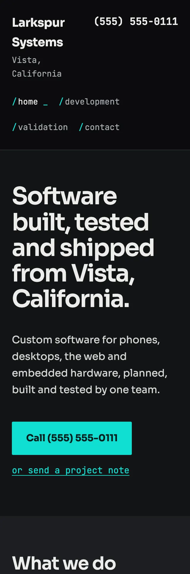 Full homepage of the software development concept on a phone